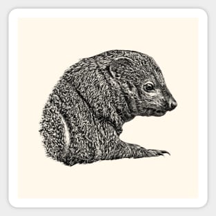 Mongoose Sticker